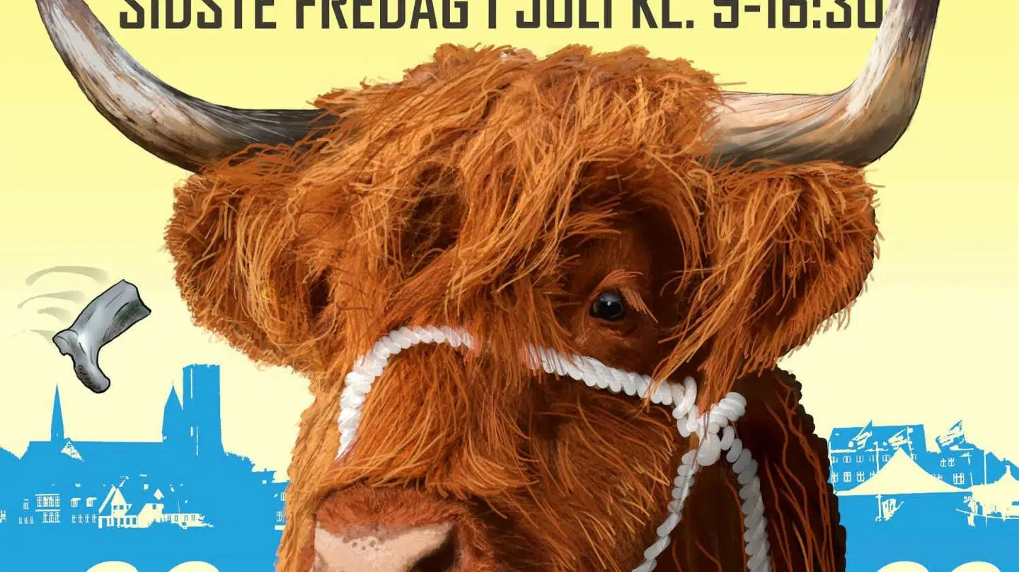 Ribe Dyrskue må aflyse årets festlighederne på grund af de massive mængder regn på pladsen. Foto: Ribe Dyrskue / PR