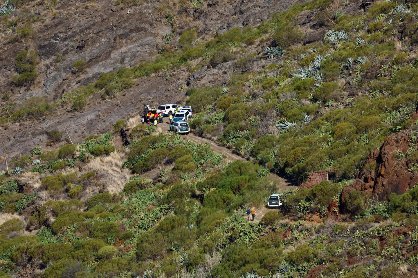 Her ses et billede fra eftersøgningen den 29. juni på Tenerife.