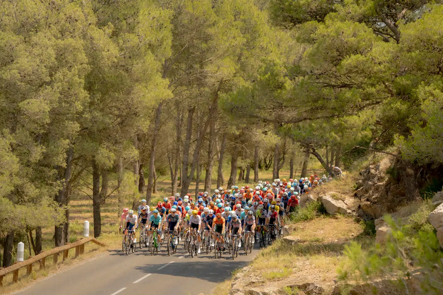 Cykelrytterne skal torsdag ud på en kuperet etape, der byder på i alt 3.100 højdemeter.