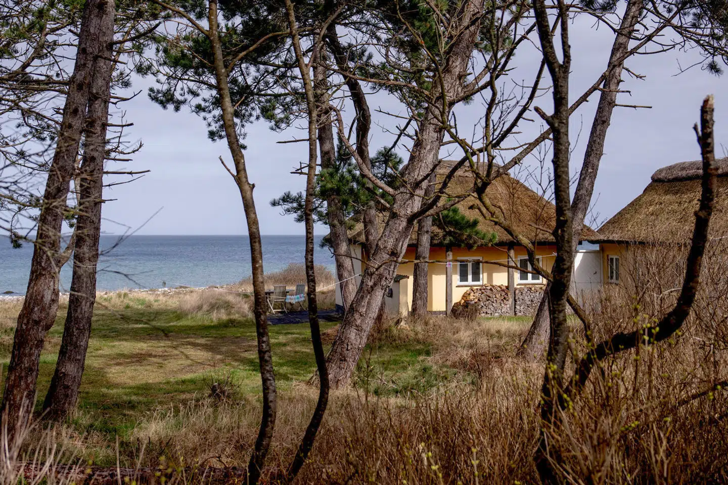 Der er det seneste år sket en voldsom stigning i familiehandler med sommerhuse herhjemme.