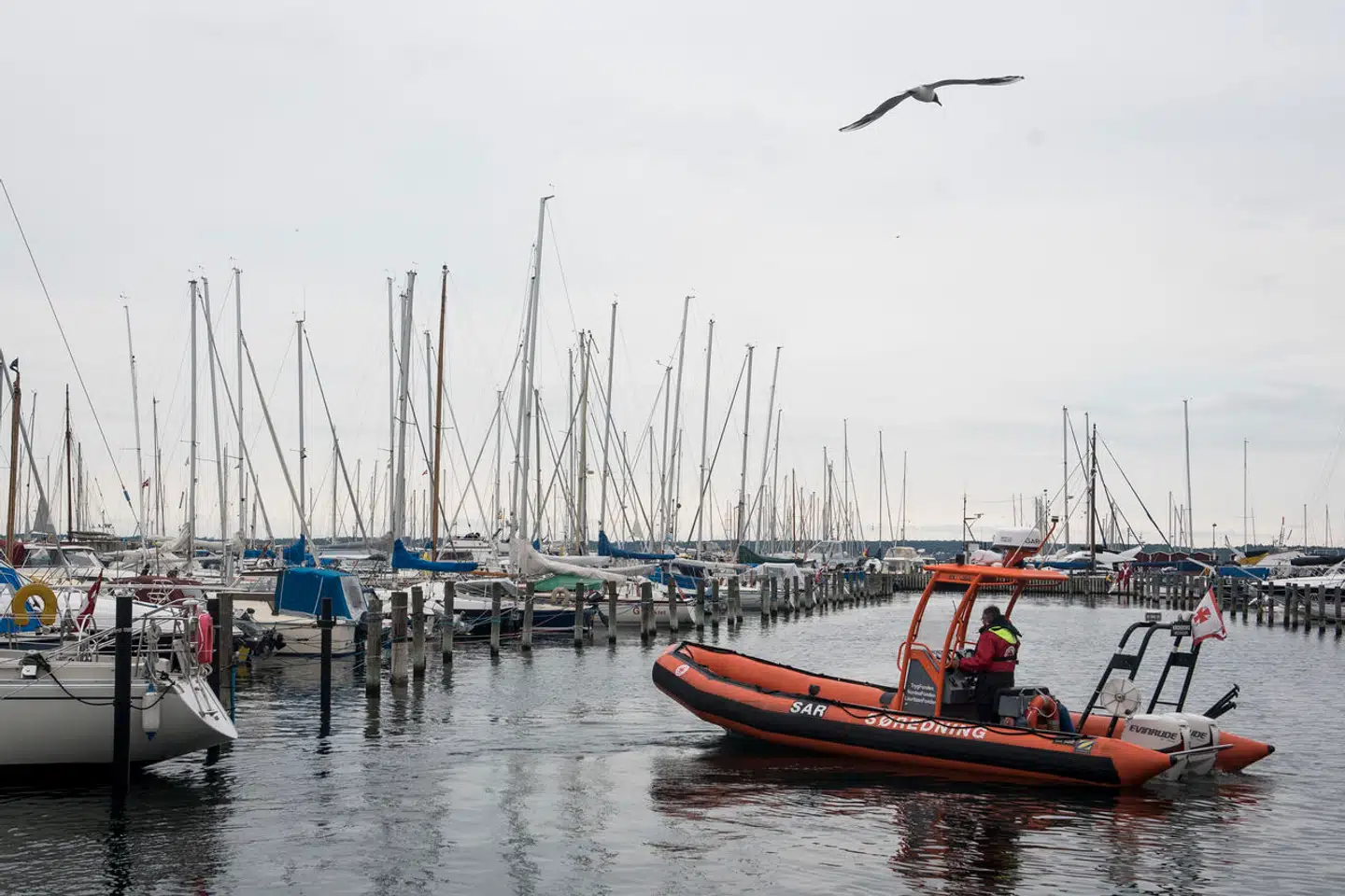 »Det svarer til en situation, hvor der kun var offentlige ambulancer i den ene halvdel af landet, mens man i den anden halvdel selv måtte betale for dem,« skriver Steen Wintlev-Jensen.