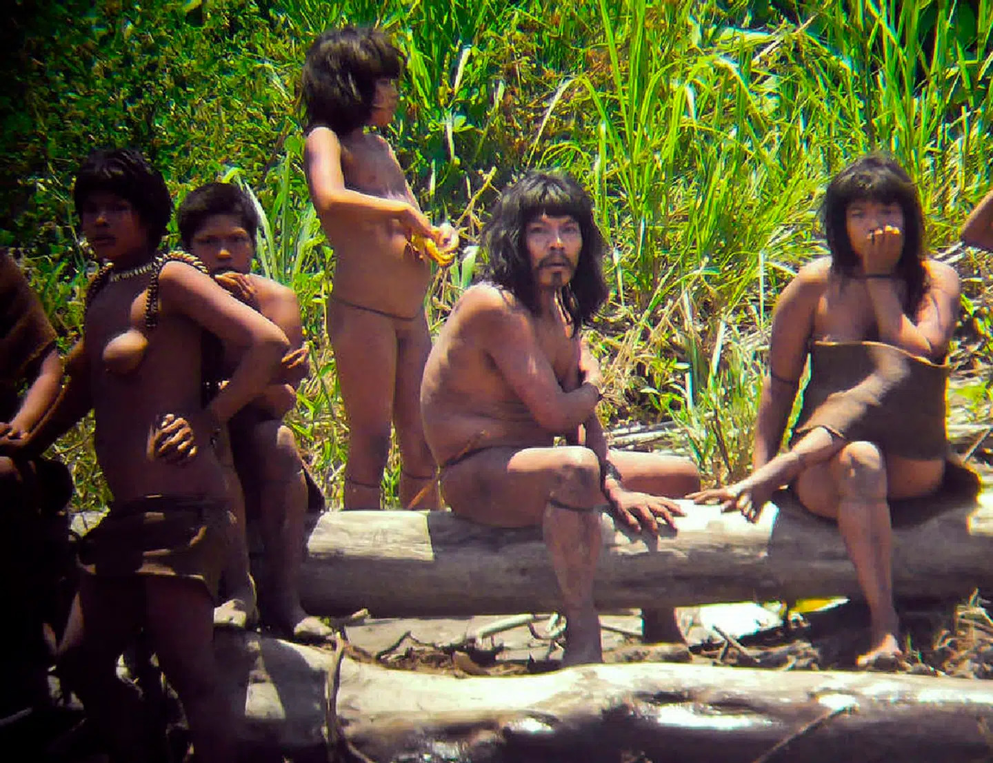 Arkivbillede af Mashco Piro, der blev fotograferet helt tæt på i 2012. Survival International frygter blandt andet, at skovhuggerne kan medbringe sygdomme, som kan udrydde Mashco Piro-stammen.