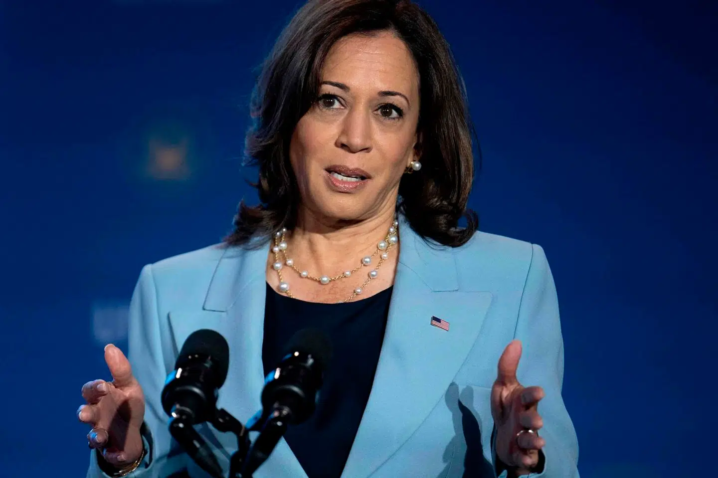 En række markante stemmer står bag Kamala Harris som præsidentkandidat.
