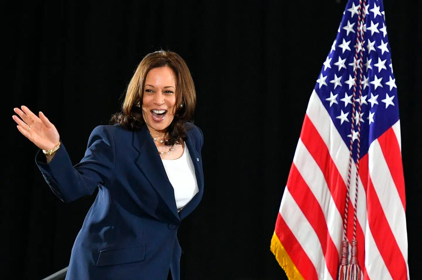 Kampen om 4.000 demokratiske delegerede er i gang. For nu er det dog kun Kamala Harris, der har meldt sig ind i kampen.