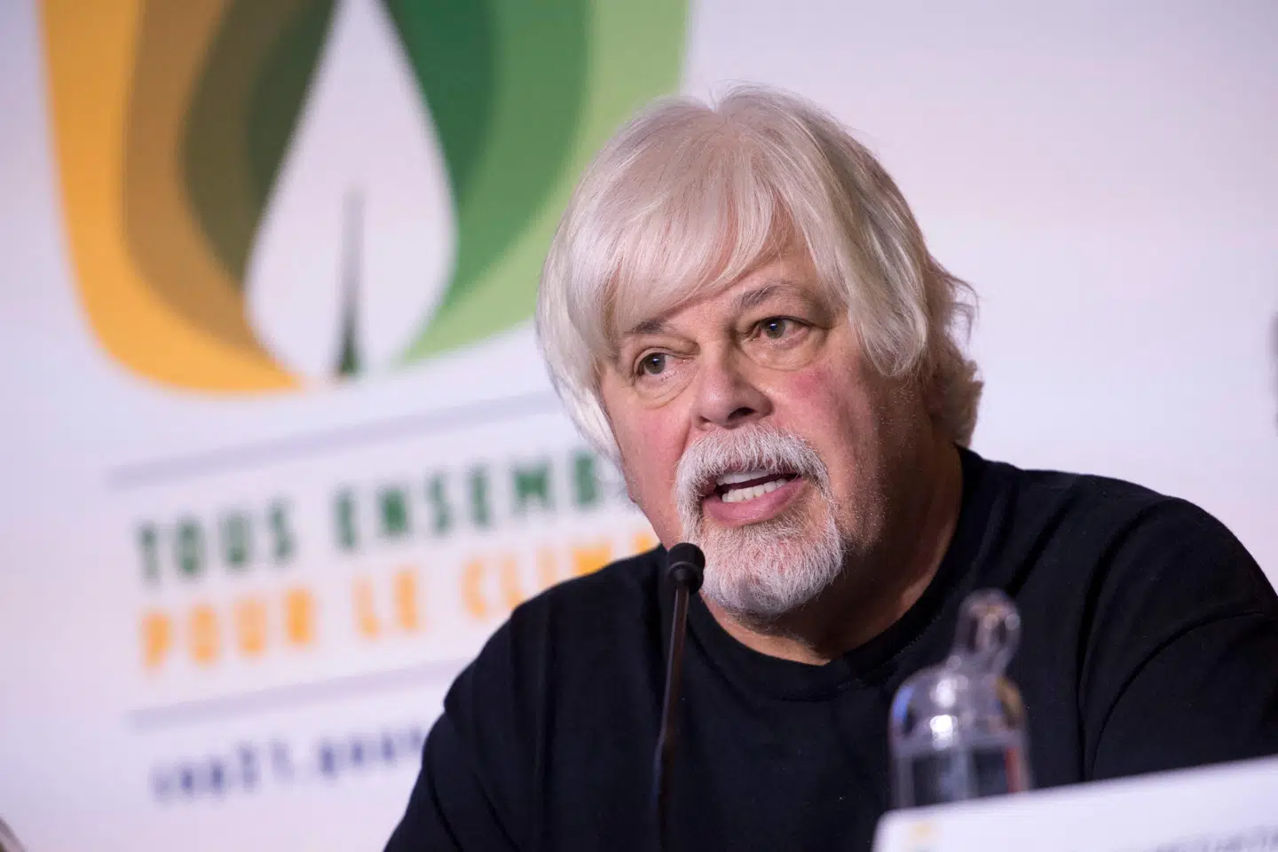 Søndag blev Paul Watson anholdt i Grønland på baggrund af en arrestordre fra Japan. 15. august bliver det afgjort, om han skal udleveres. (Arkivfoto).
