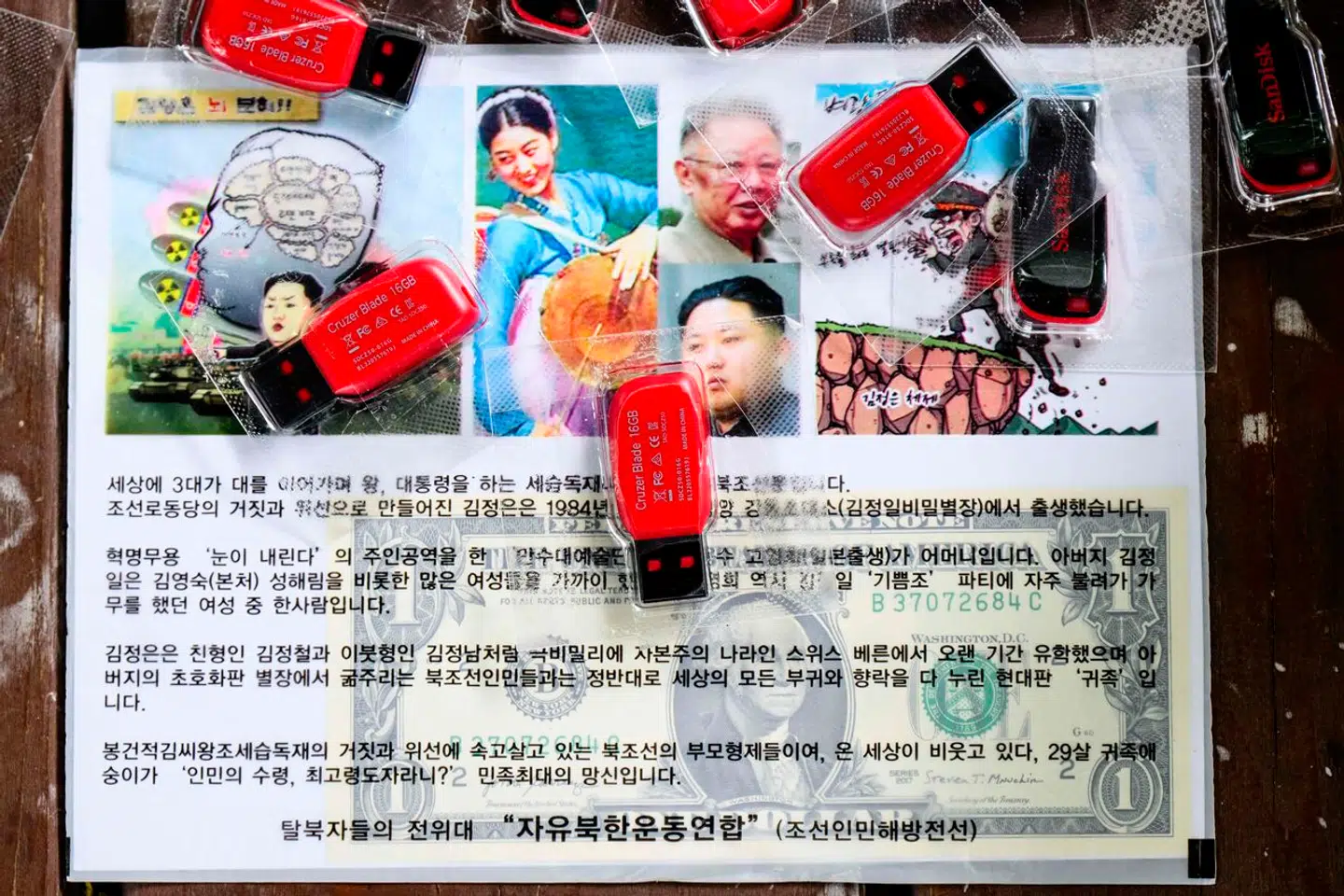 Sydkoreansk propagandaindhold på USB-stik og kritik af det nordkoreanske styre på foldere.