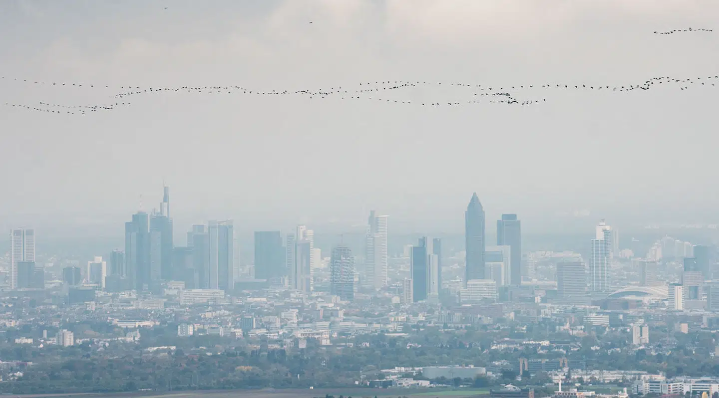 Cranes fly across the grey autumn sky as in background can be seen the skyline of Frankfurt am Main, western Germany, seen from the city of Falkenstein near Koenigstein in the Taunus region on October 29, 2019. (Photo by Frank Rumpenhorst / dpa / AFP) / Germany OUT