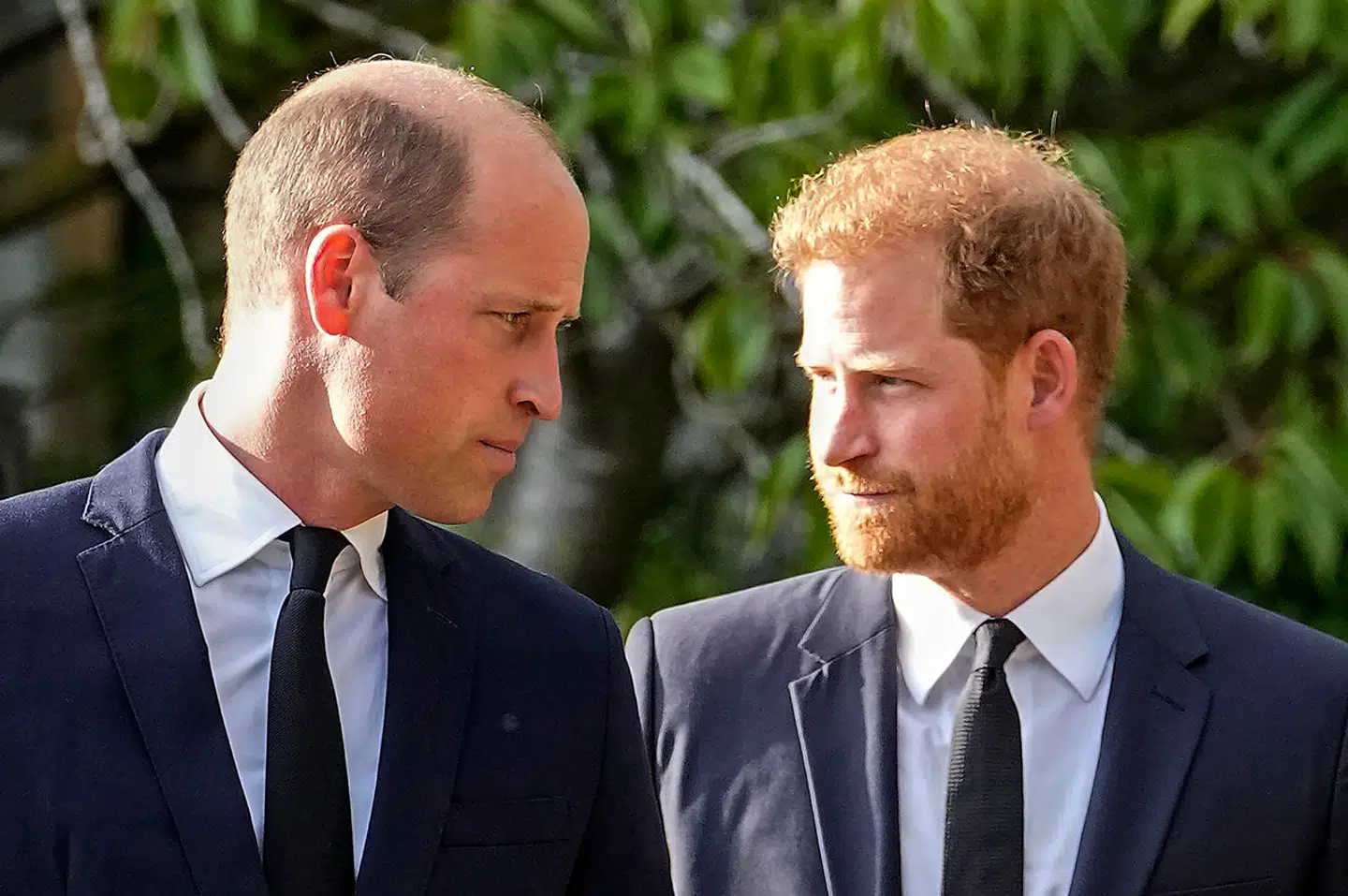 Her ses prins William og prins Harry i 2022.