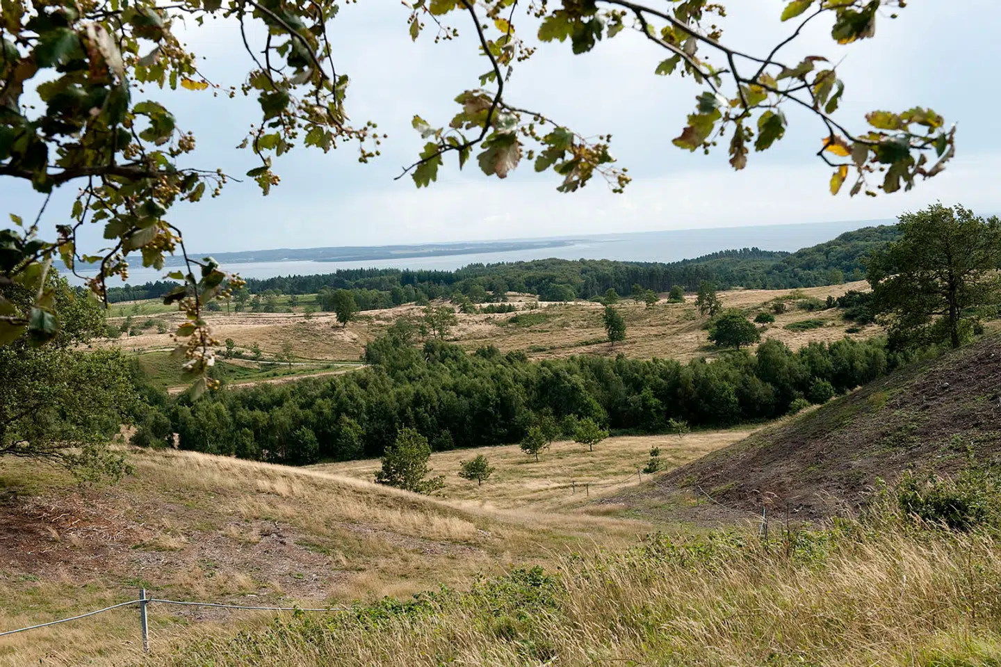 Foto: Keld Navntoft, Ritzau Scanpix