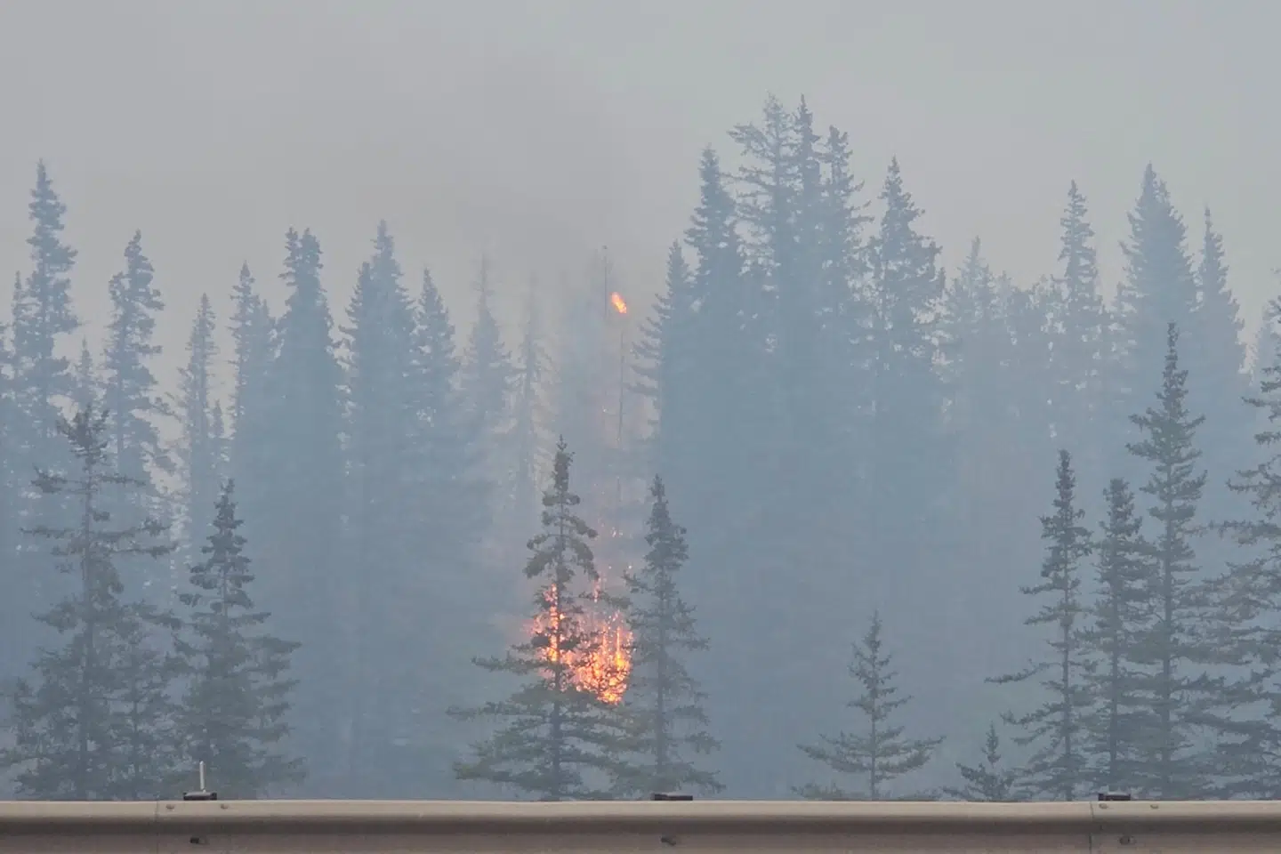 Her ses skovbrand i Jasper tidligere på ugen.