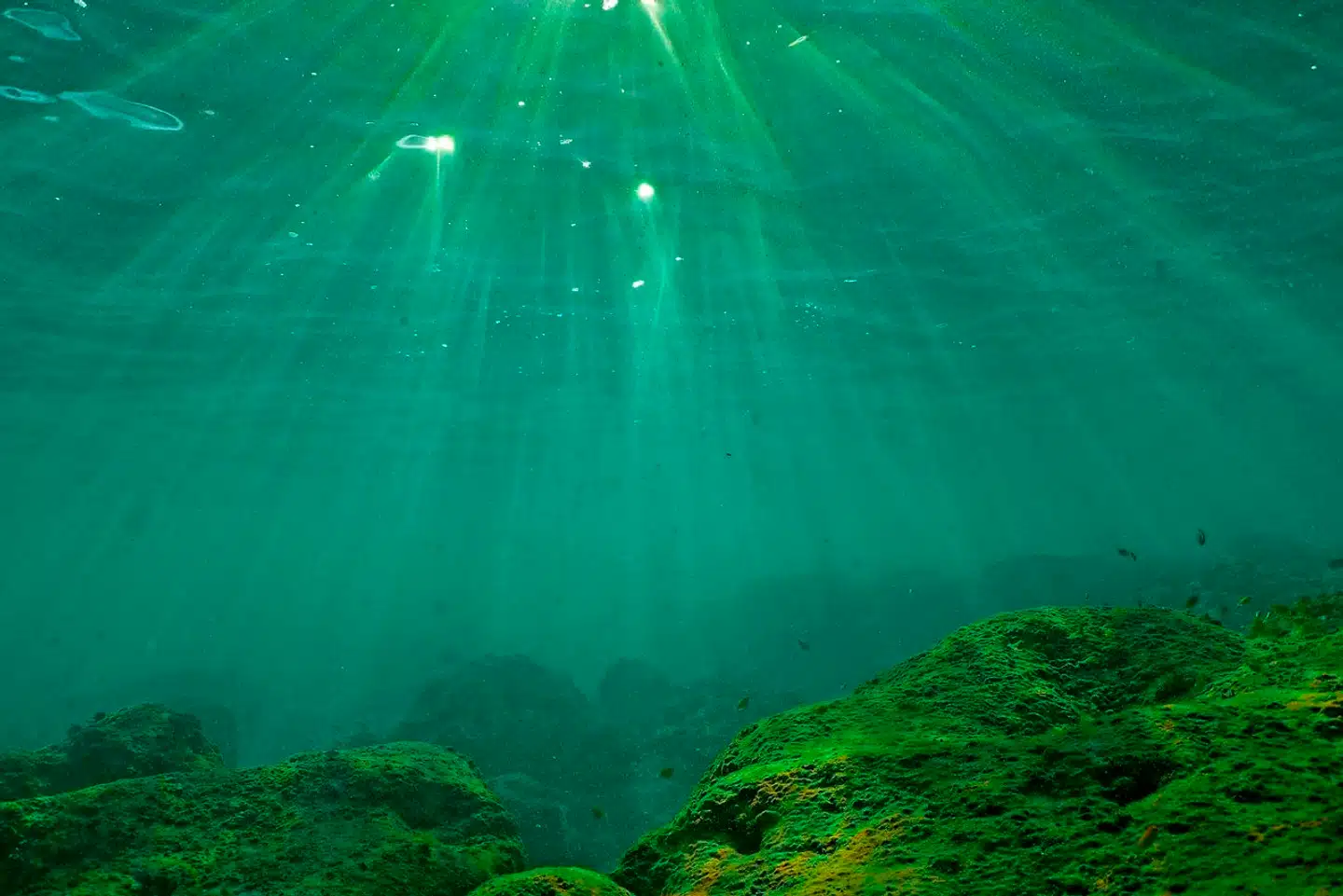 Knolde fundet på havbunden har vist sig at være livsvigtige for økosystemet. Arkivfoto: Ibrahim Chalhoub, Scanpix