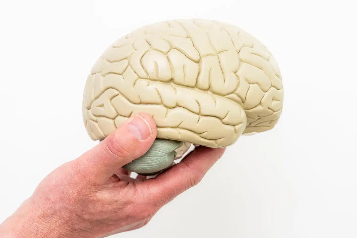 I Danmark har cirka 50.000 personer Alzheimers sygdom. I alt lever 96.000 personer i landet med en demenssygdom. Det viser tal fra Alzheimerforeningen.