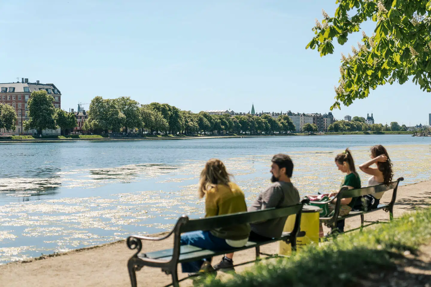 Løsning på fæl lugt ved Søerne i København kan være på vej | Indland ...