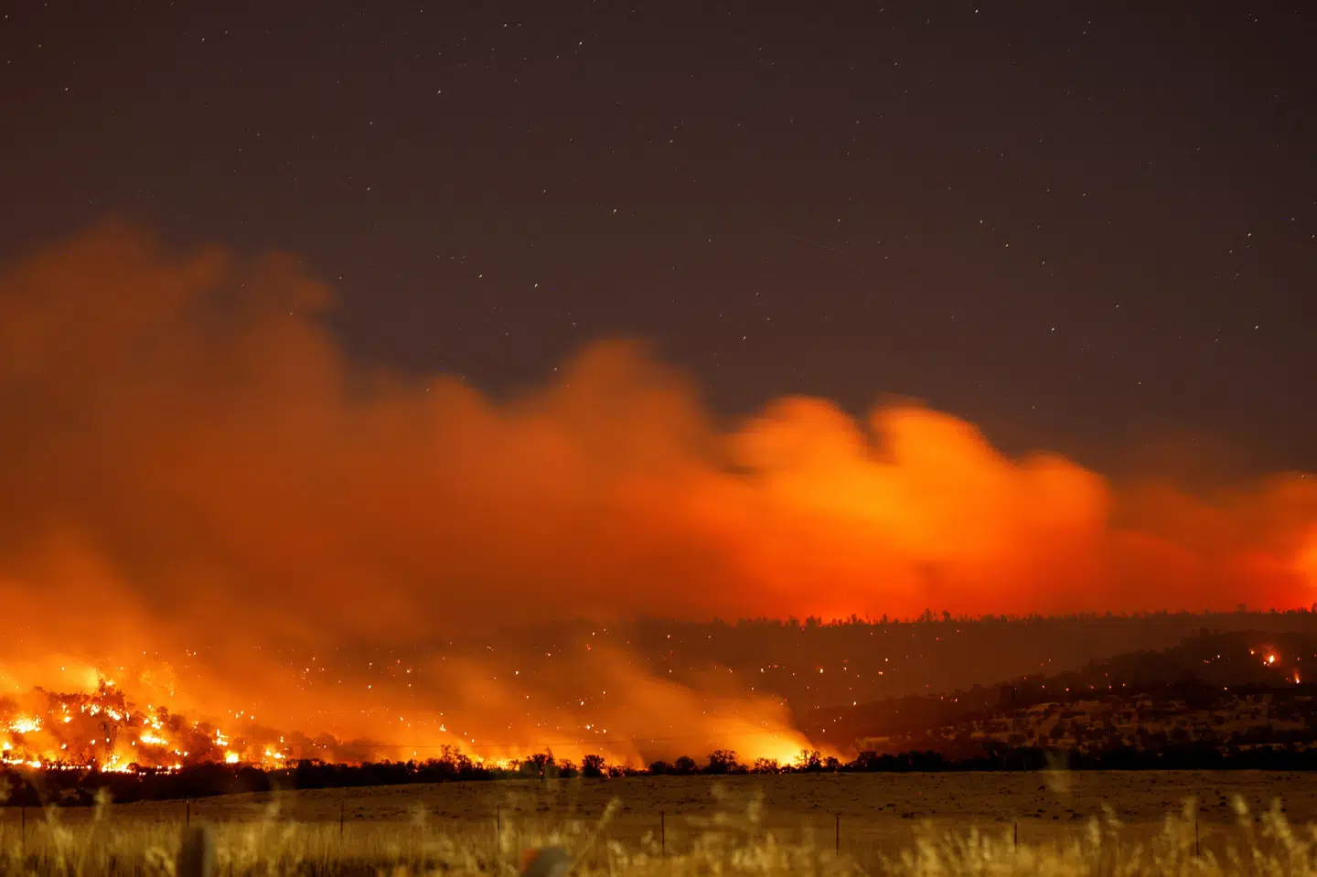 Skovbranden Park Fire har brændt hundredvis af bygninger ned og sendt tusindvis af mennesker på flugt. (Arkivfoto).