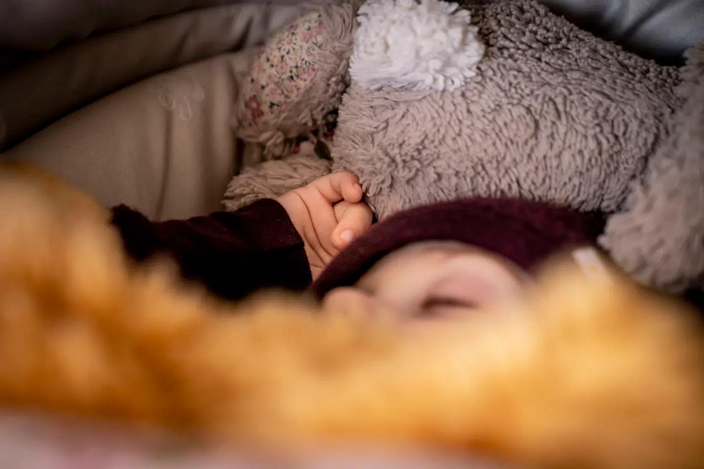 Det er ikke en økonomisk men i stedet en kulturel udfordring, at vi bliver færre, mener Nikolaj Bøgh.