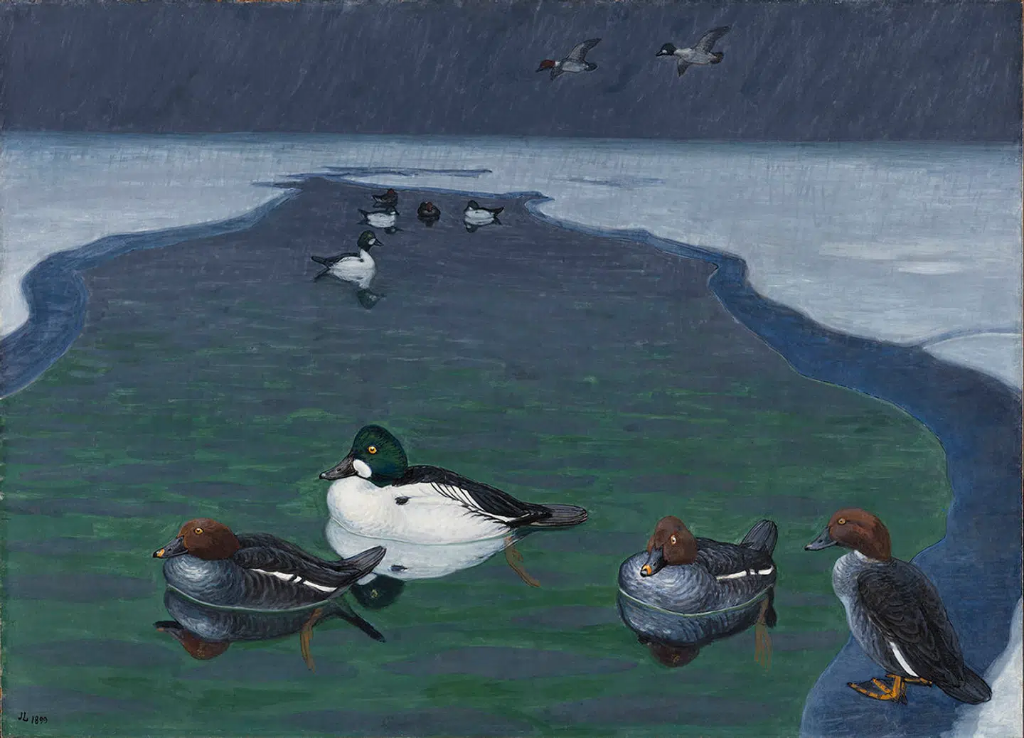 Johannes Larsen, Hvinænder i en våge, 1899. Pressefoto: Anders Sune Berg