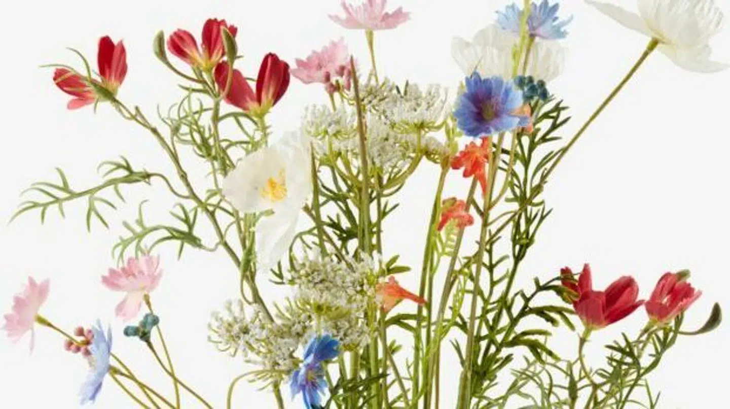 I foråret blev disse blomster revet væk fra Jysk-butikkerne. Nu er de kunstige blomster tilbage på hylderne igen.