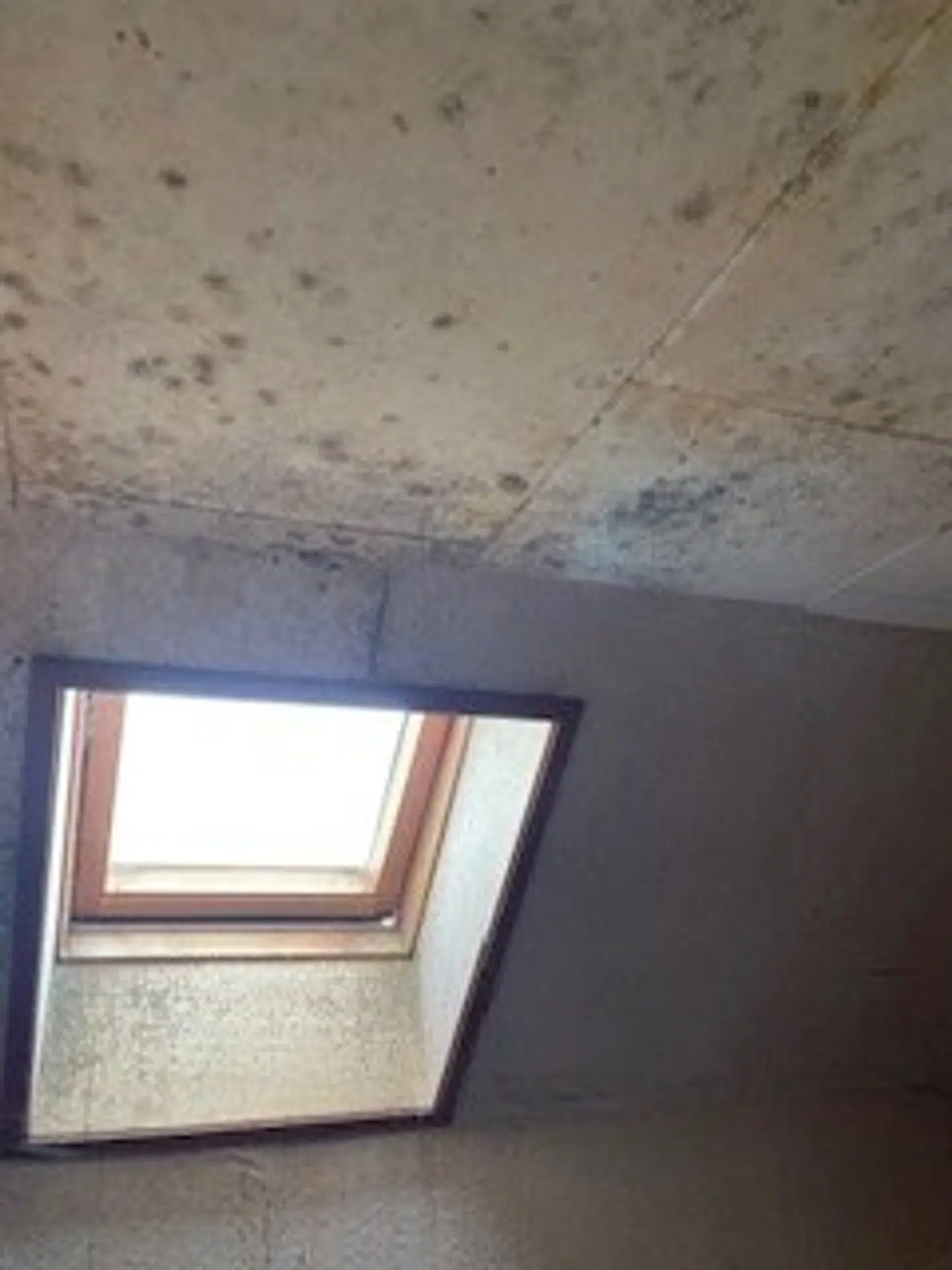 Det var noget af et syn, der mødte familien, da de trådte op på øverste etage