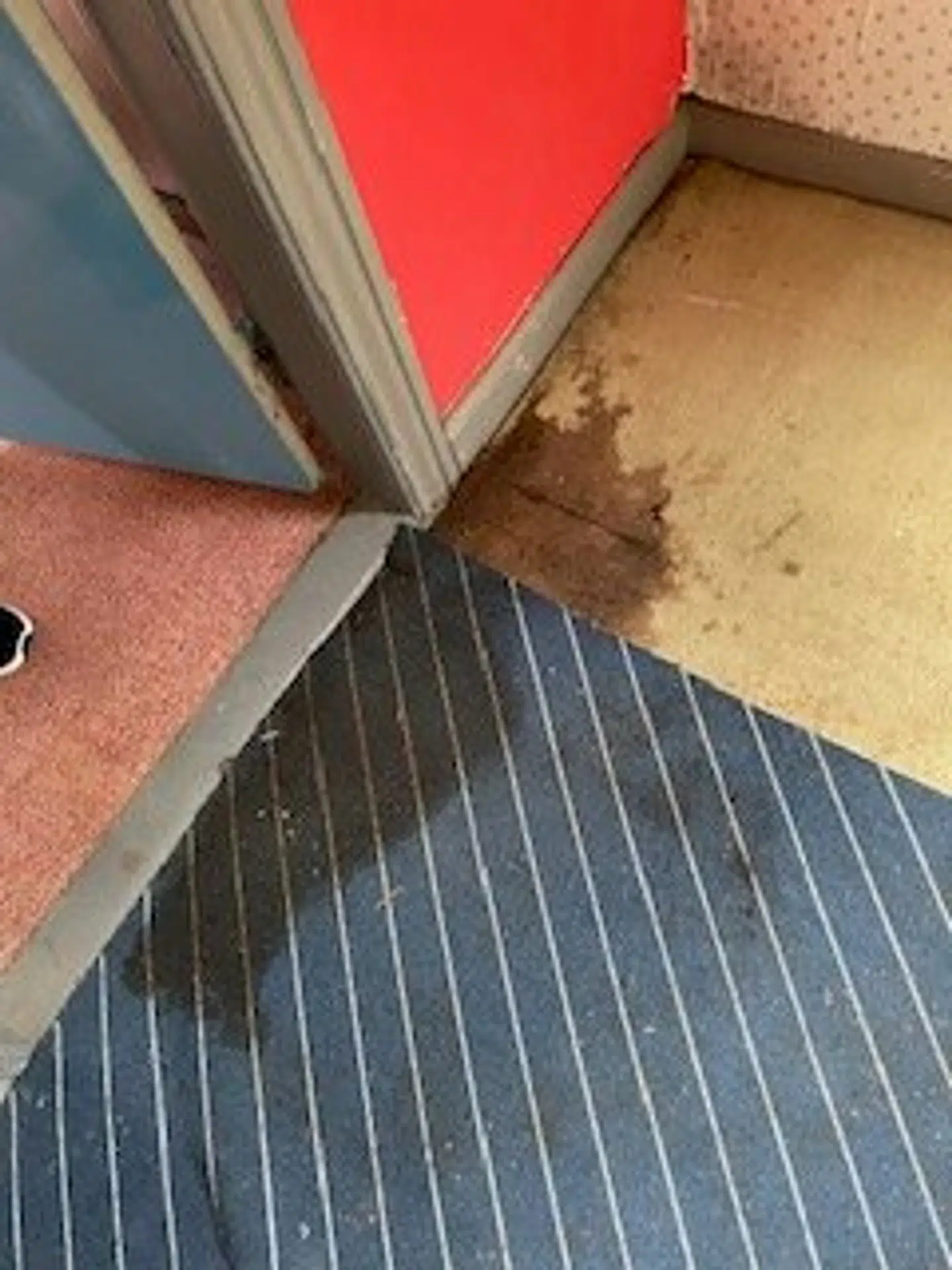 På det ene værelse i sommerhuset lider gulvtæpperne