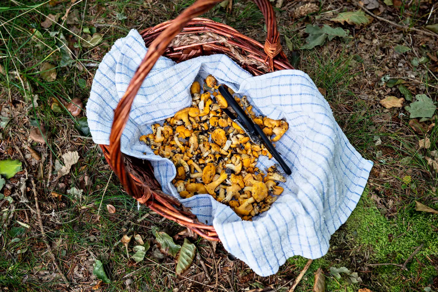 Arkivfoto: Henning Bagger, Scanpix