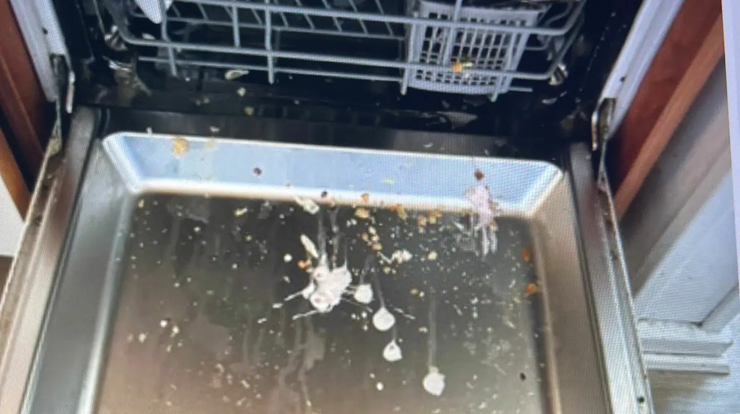 Sådan så opvaskemaskinen ud, da familien overtog sommerhuset.