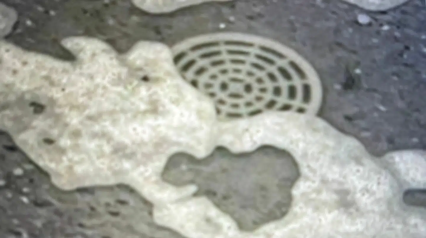 Her ses kloakafløbet i badeværelset, da familien ankom til sommerhuset.