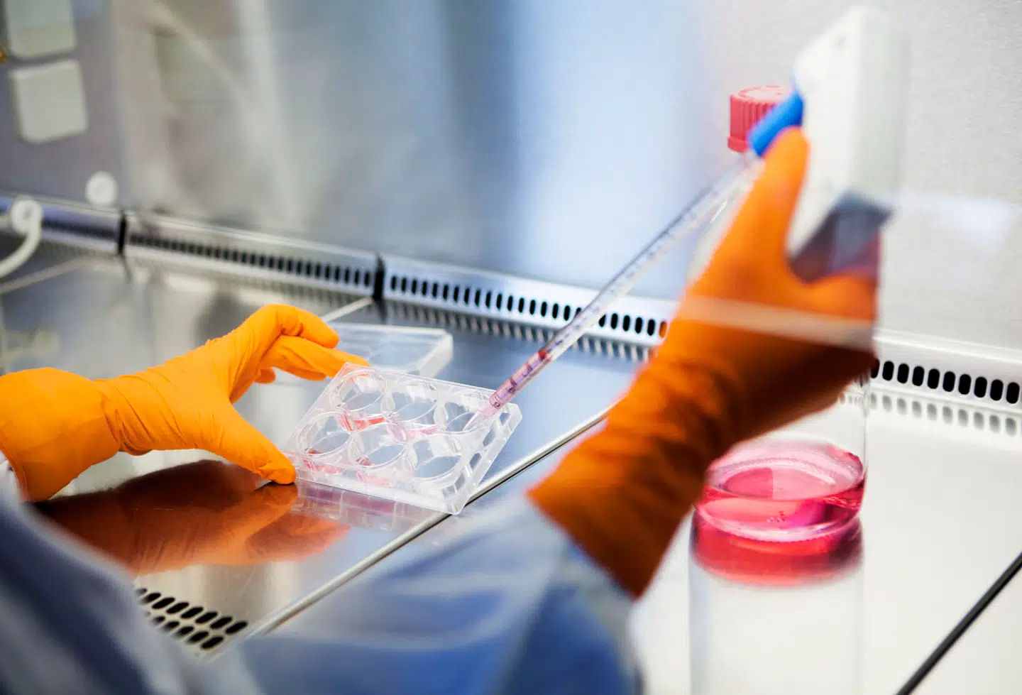 Det har været et turbulent år for Bavarian Nordic, men nu lader virksomheden til at være tilbage i varmen hos aktionærerne.