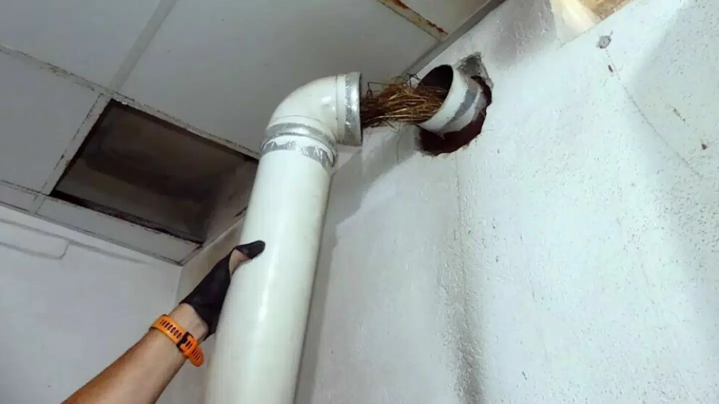 En fugls rede førte til en ung mands død.