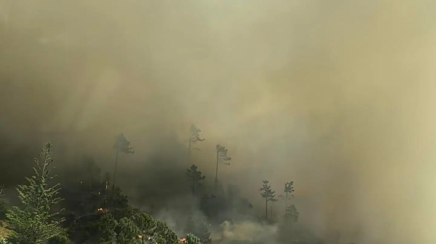 Her ses billeder af røgen Camilla Neupart og Andreas Falk mandag så, da de kørte rundt på Madeira.