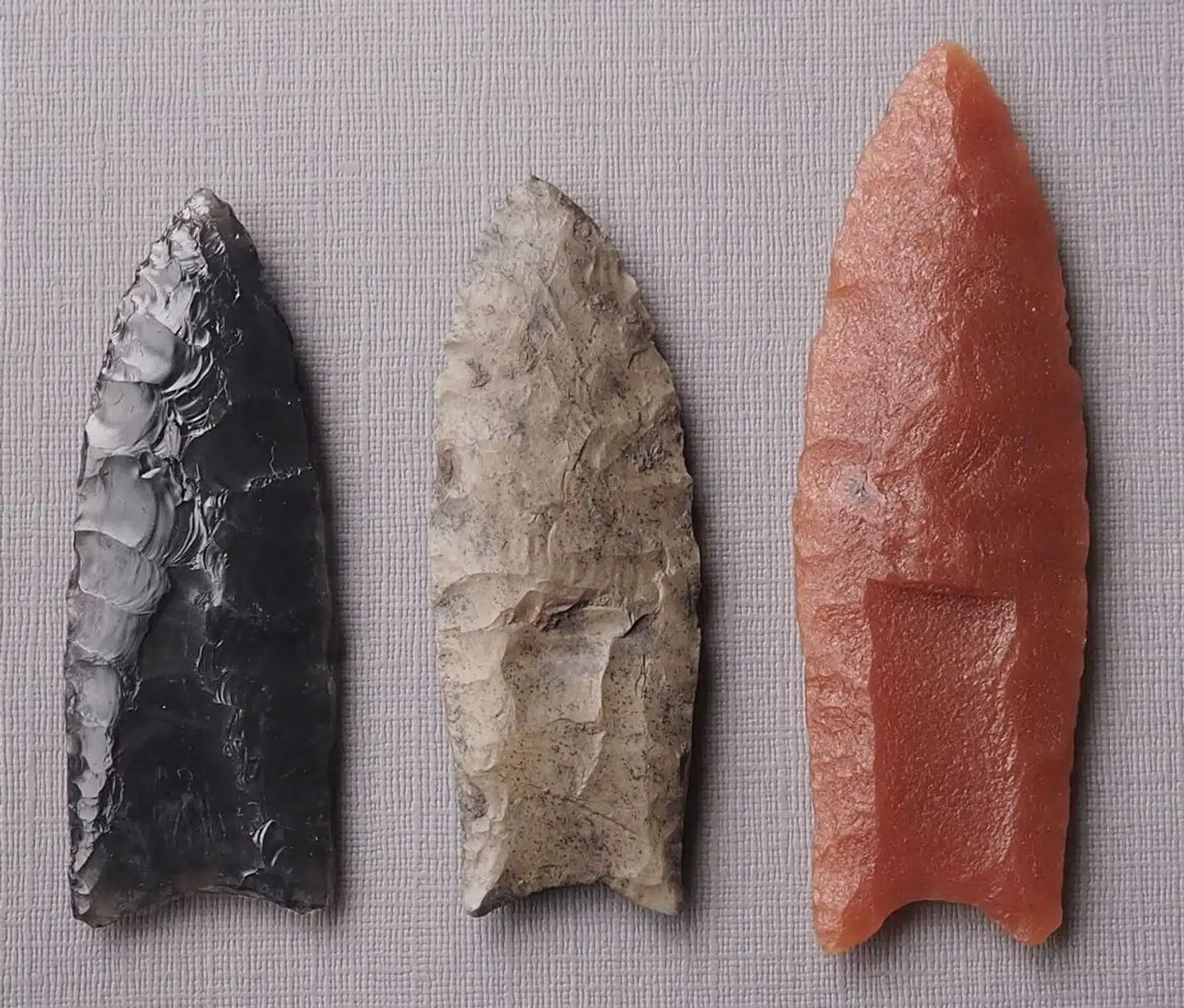 Clovisfolkets spydspidser er af de mest udbredte fund fra istiden i Nordamerika, men det er stadig en gåde, hvordan de præcist blev brugt. Foto: Scott Byram, Scanpix