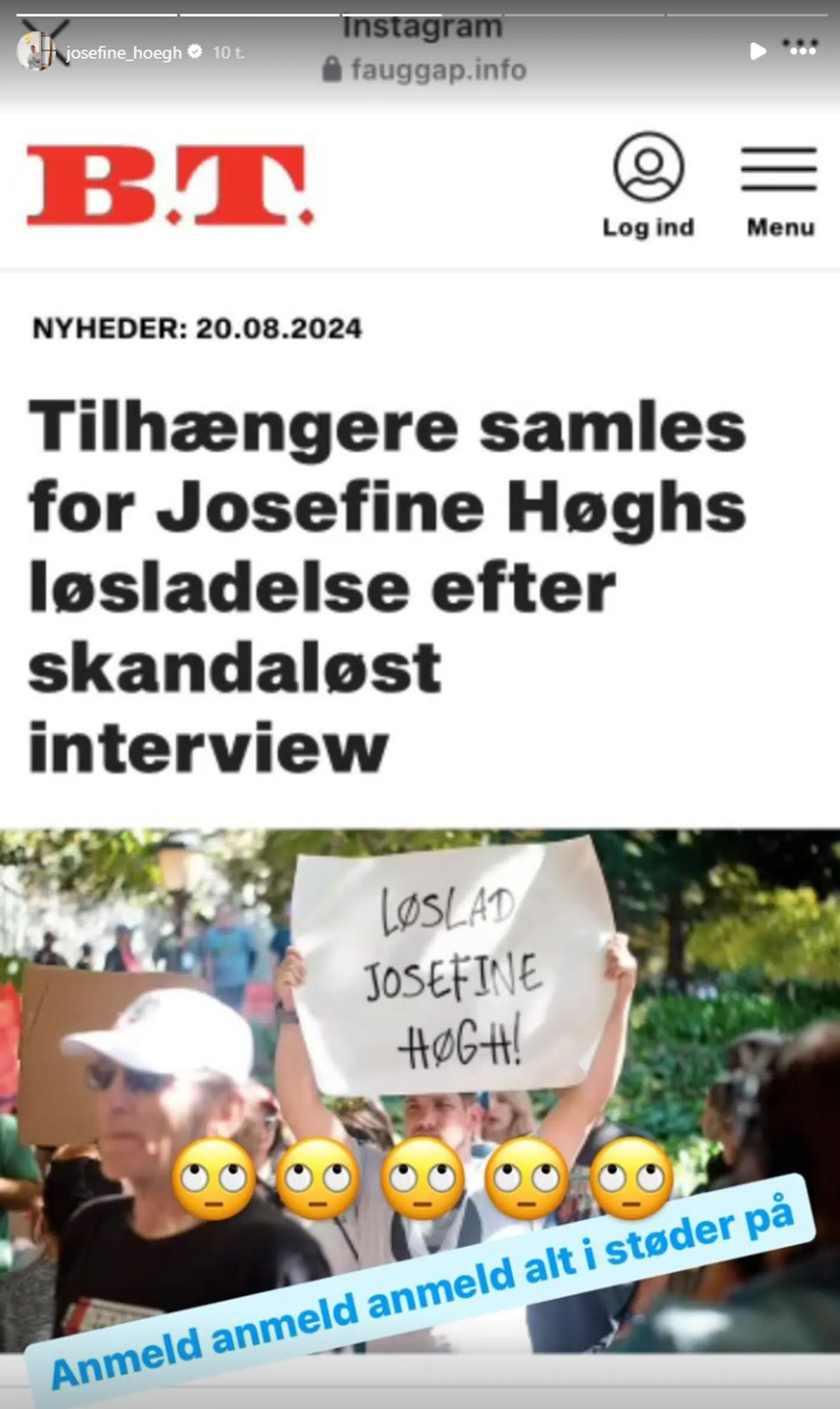 Sådan ser en af de såkaldte artikler ud.