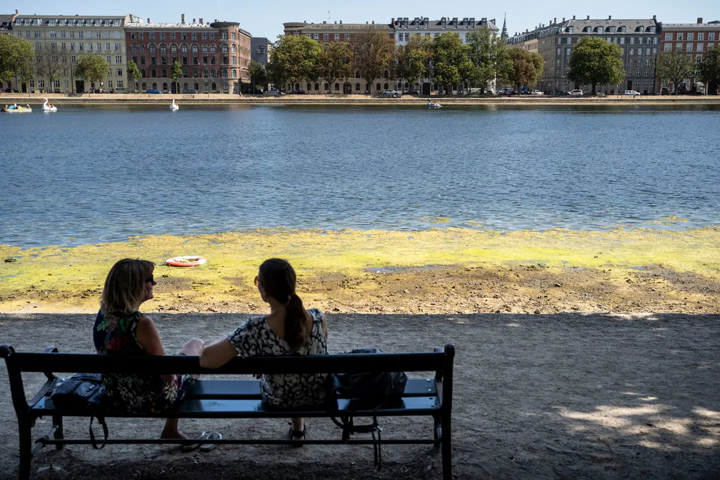 På Københavns Rådhus drømmer man om, at søerne atter bliver fri fra alger og dødt vand. Lugten skal væk, og der skal gennemstrømning i søerne. Det vil fremtidssikre København på flere måder.