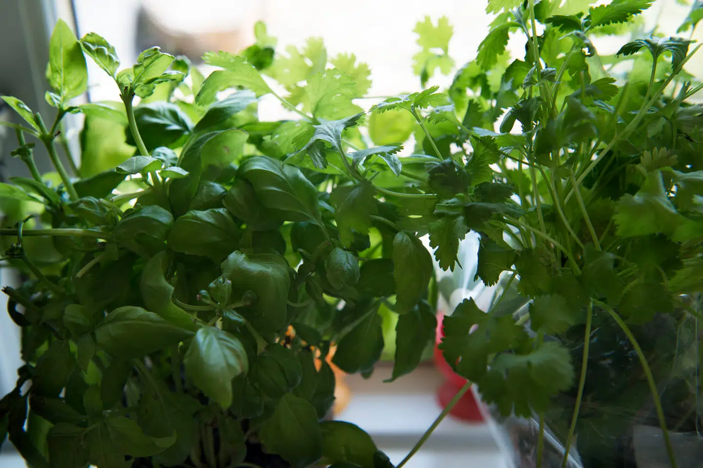 Når du deltager i dagens quiz, er du samtidig med i lodtrækningen om en præmie.