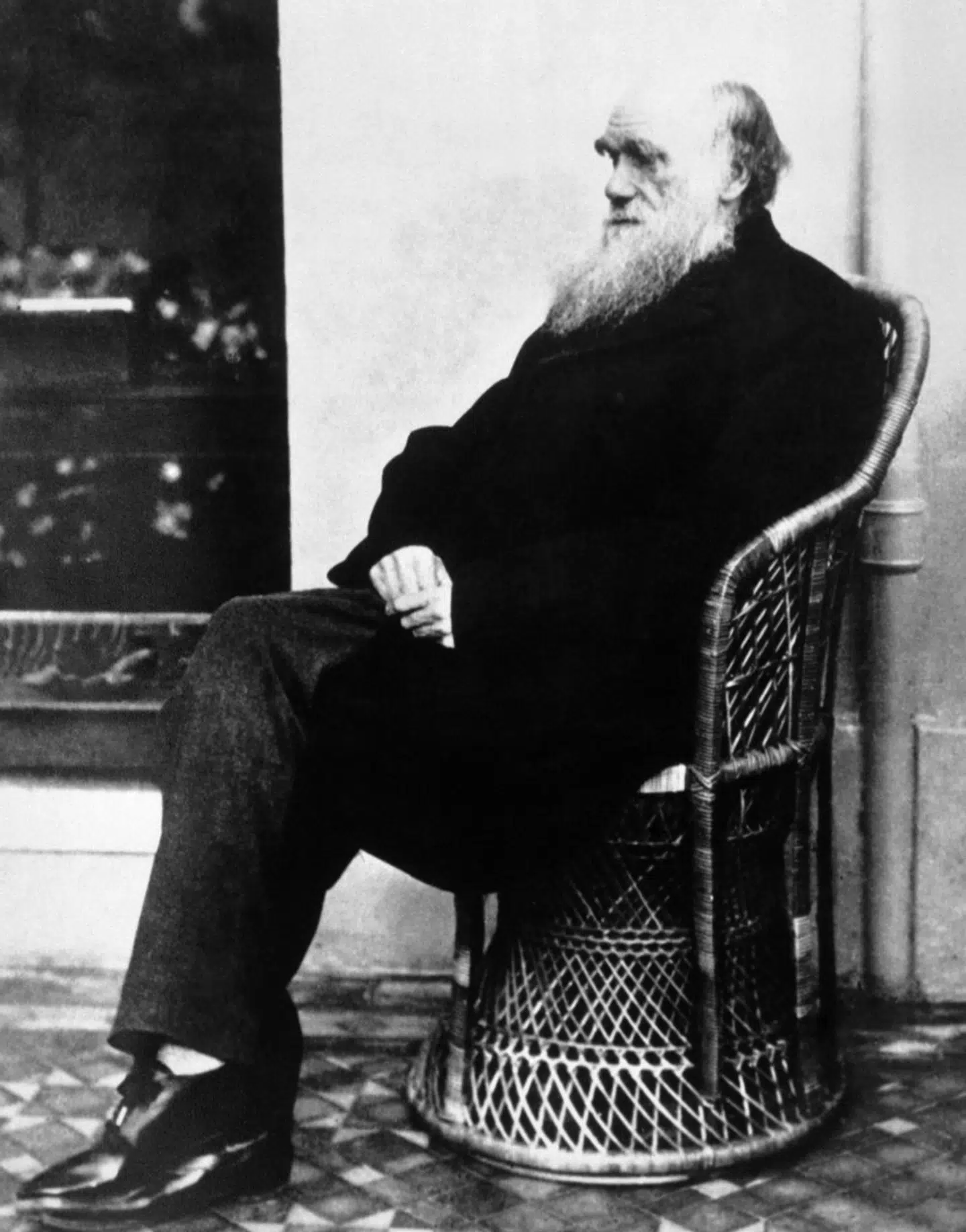 Charles Darwin fotograferet i 1875. Nu kan computersimulationer bekræfte, at der er tilstrækkelig mange fossilfund til at underbygge hans teori om evolution. Foto: Scanpix