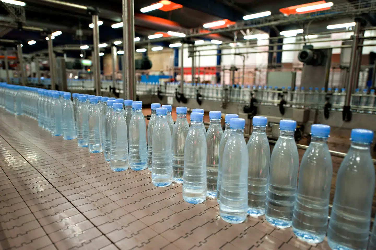 Carlsberg tapper eksempelvis en del af vandet til sit Kildevæld-brand lige her i Saltum i Nordjylland – uden afregning til statskassen.