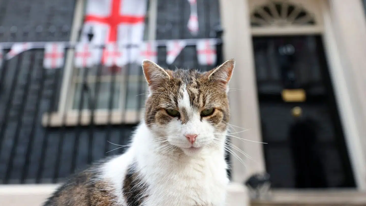 Planerne for, hvad der skal ske, når Larry en dag dør, er lagt.