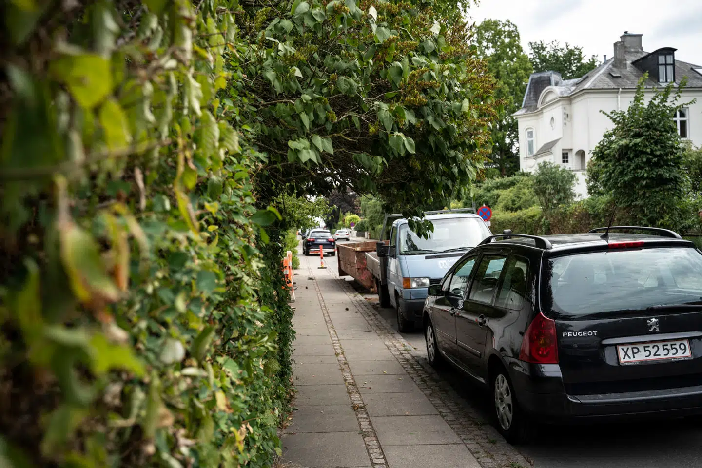 Det er ikke statens opgave at finansiere velhavende menneskers hækkeklipning, mener en læser. Her ses Sigridsvej i Hellerup.