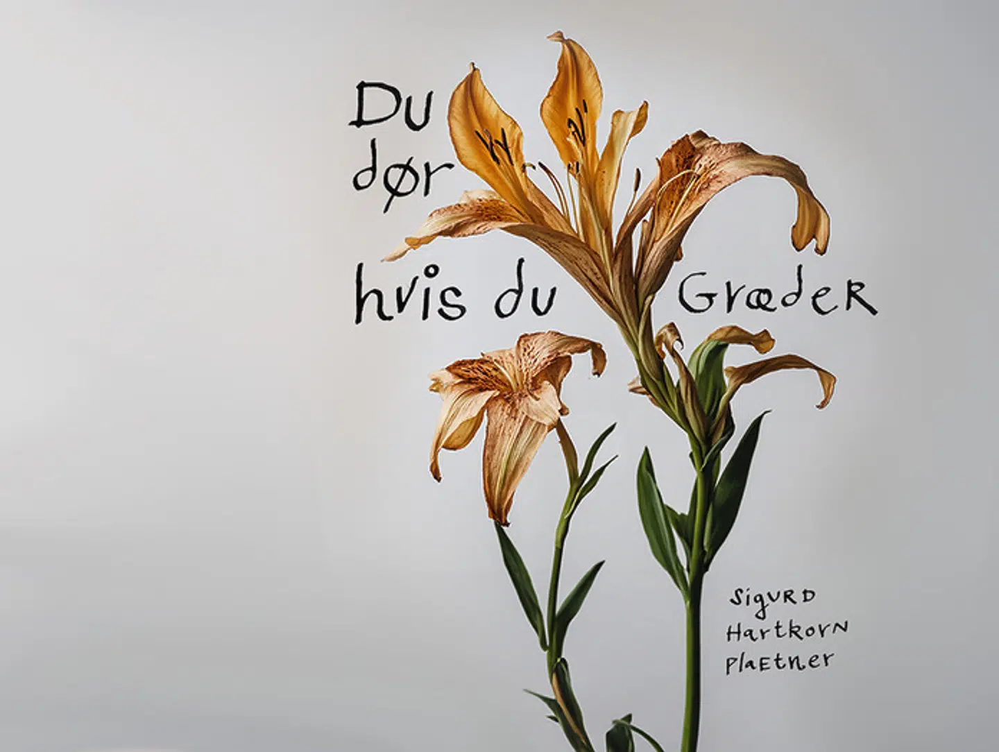 Interesserer De Dem ikke for sklerose? Bare rolig, siger Sigurd Hartkorn Plaetner i sin podcast: Det gør han sådan set heller ikke.
