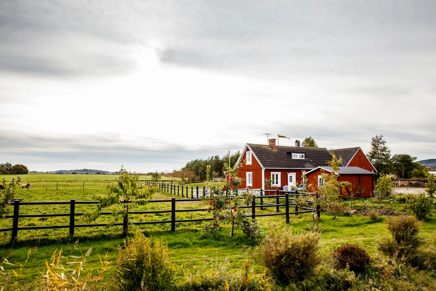 En læser har for nylig købt et sommerhus i Sverige og er blevet i tvivl om, hvordan det stiller dem rent skattemæssigt.