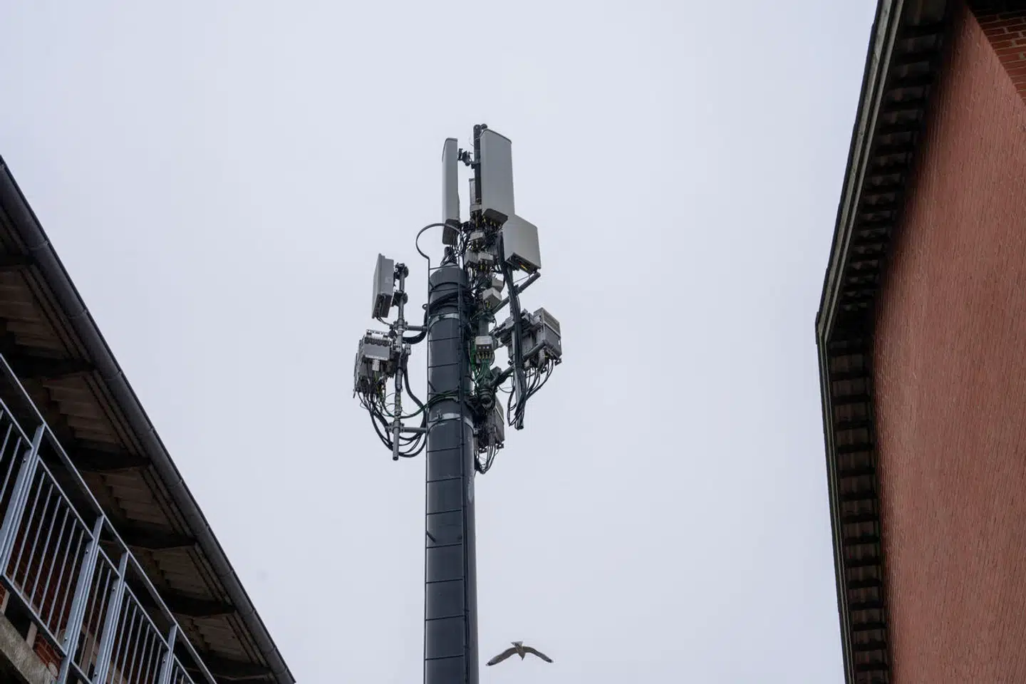 Danskernes tele- og datatrafik over mobilnettene og alle de faste net bliver overvåget og efter krav fra myndighederne gemt i et år hos tele- og internetudbyderne.