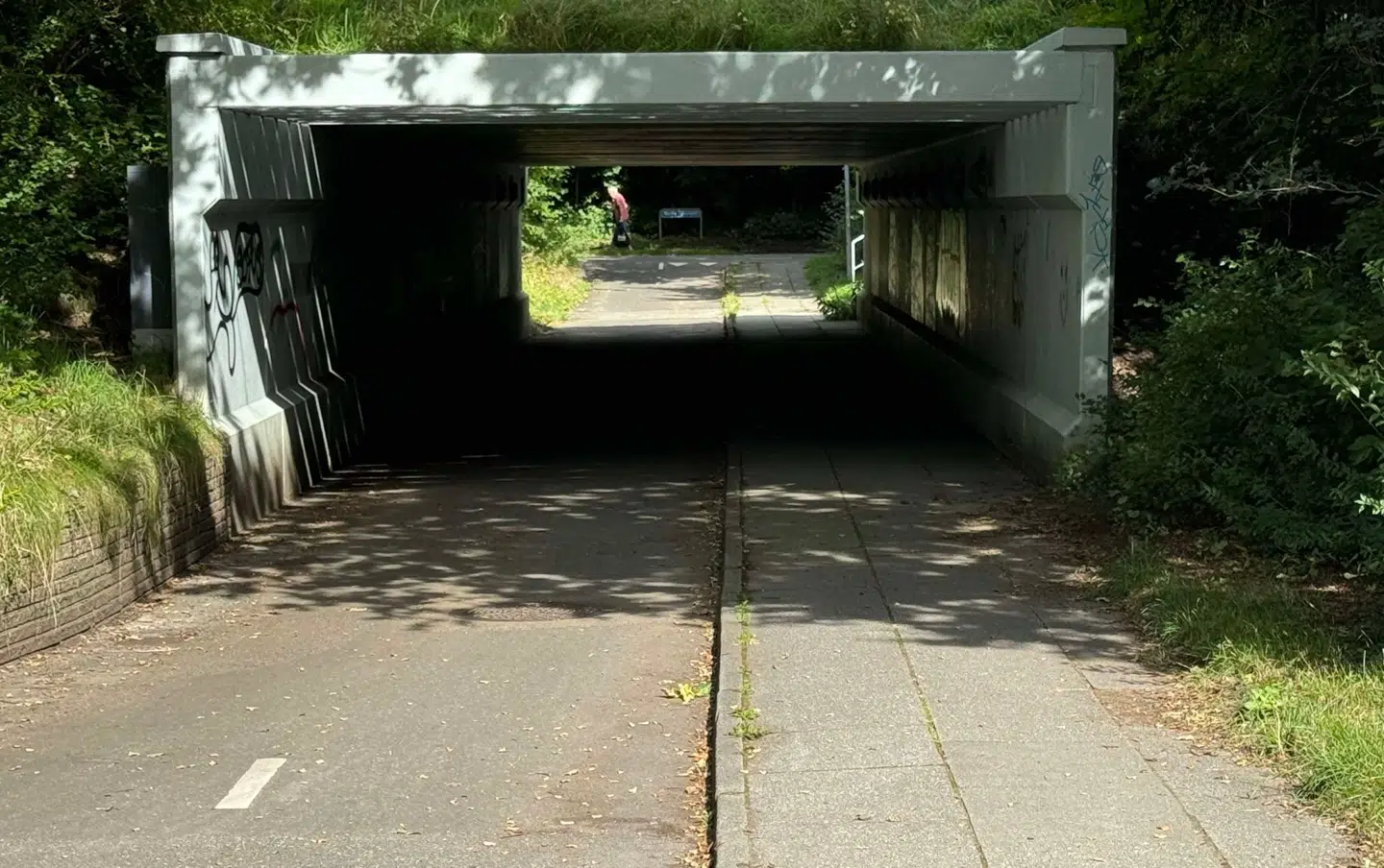 Her ses tunnellen, hvor Noah styrtede. Soldaterfoden var placeret i det mørkeste område.