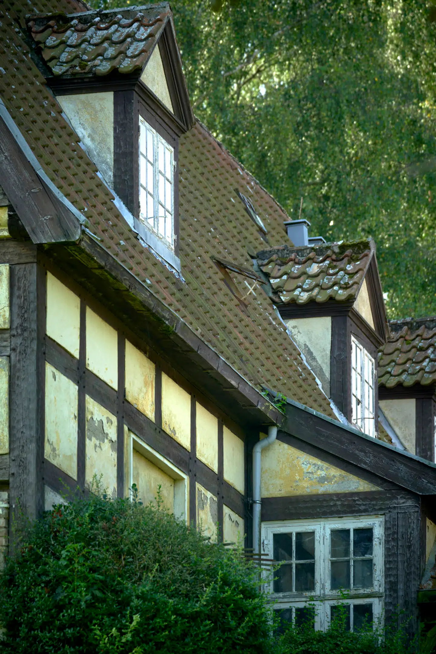 Et flertal i kommunalbestyrelsen i Hørsholm Kommune frygter, at ejendommen vil stå og forfalde i yderligere 40 år, hvis ikke man tillader en nedrivning. Skaden er allerede sket, siger politikerne.