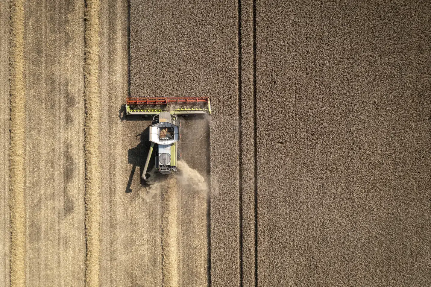 Seniorøkonom hos Kraka vurderer på baggrund af Concitos nye beregninger, at samfundet vil komme til at bruge for mange penge på landbruget. (Arkivfoto).