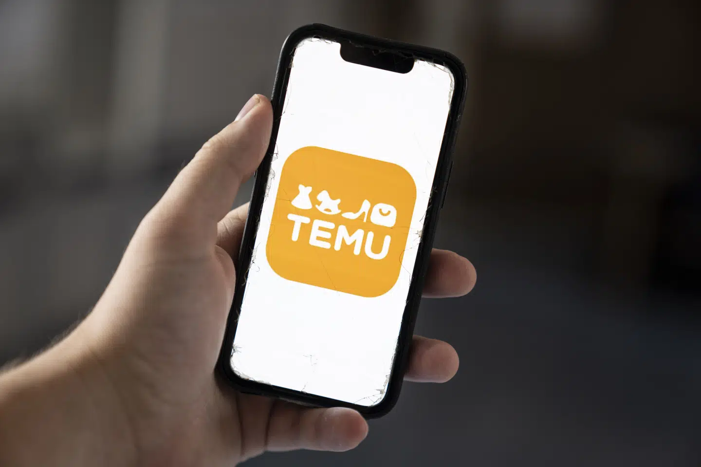 Temu har på kort tid etableret sig på markedet, og mange danskere har købt de ofte meget billige varer, men flere dårlige sager har ramt den kinesiske netbutik. (Arkivfoto).