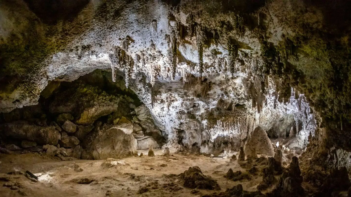 Næsten 400.000 besøgte sidste år Carlsbad Caverns National Park.