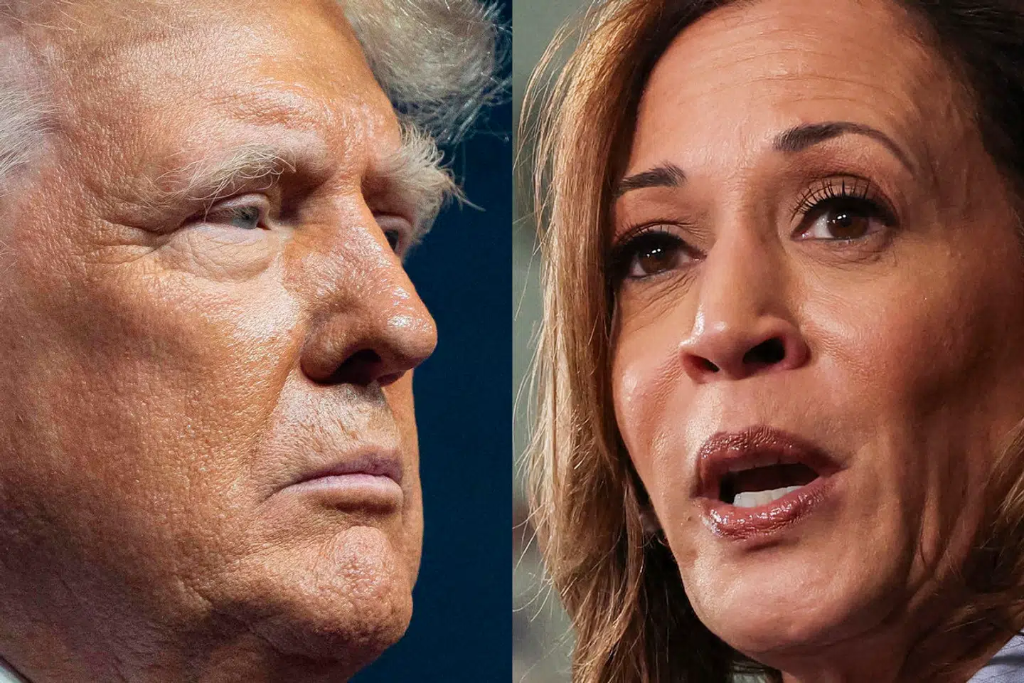 »I Springfield (by i delstaten Ohio, red.) spiser de hundene ... de mennesker, der er kommet ind,« sagde Donald Trump under debatten: »De spiser kattene. De spiser kæledyr, der tilhører folk, der bor der.«