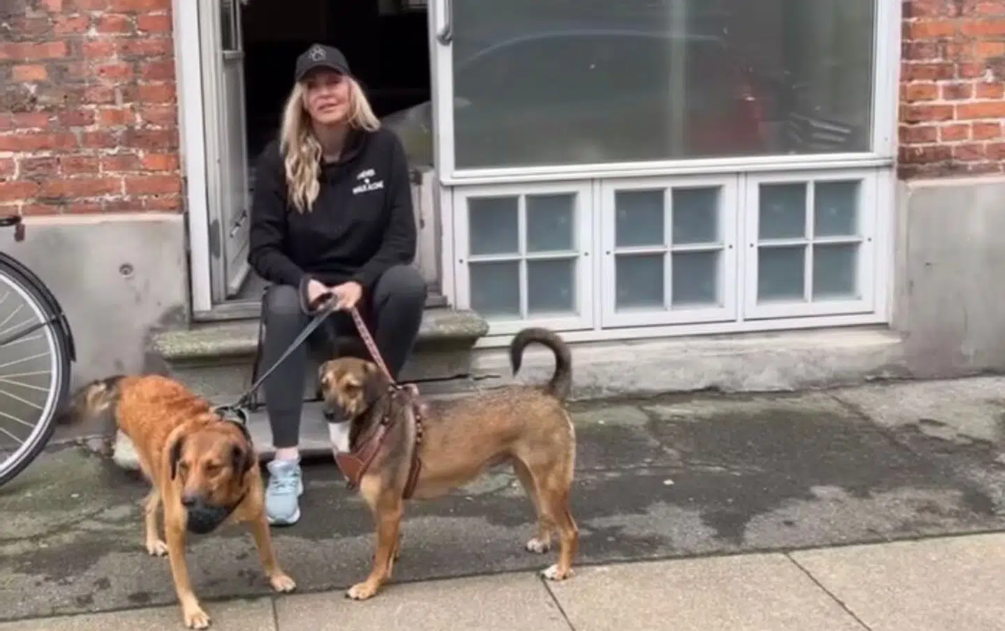 Linse Kessler har de to gadehunde Bennie og Snuggle. Foto: Privat