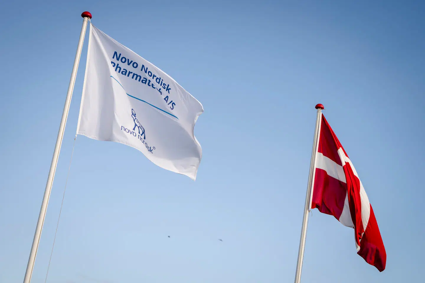 Succesen for medicinalgiganten Novo Nordisk på fedmeområdet har medvirket til at fastholde danskernes investeringspenge i danske aktier. Nu advarer strateger mod risikoen for at være for forelsket i det danske.