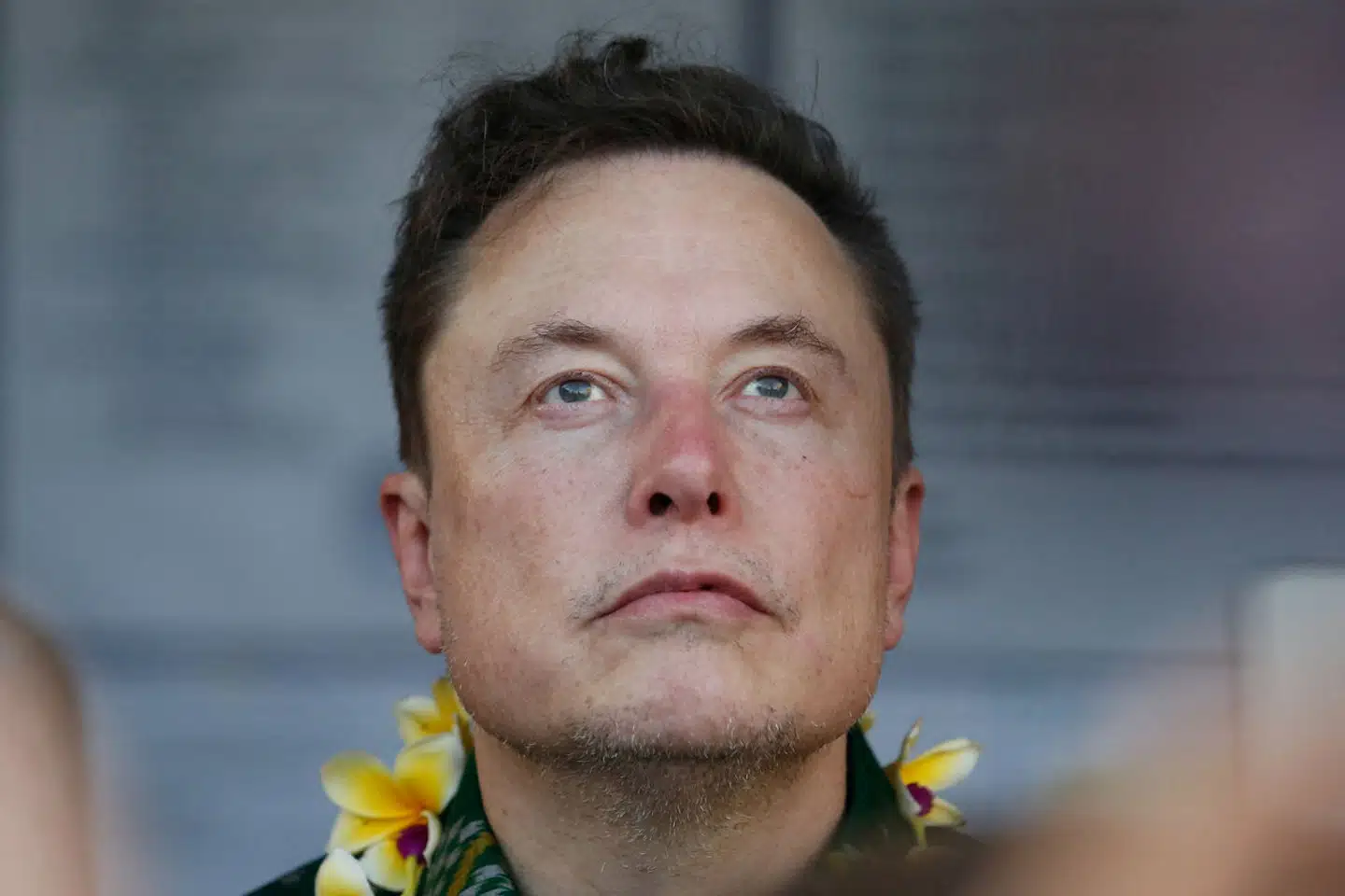 Elon Musk, der har stiftet elbilvirksomheden Tesla, købte det sociale medie X, som dengang hed Twitter, i 2022.