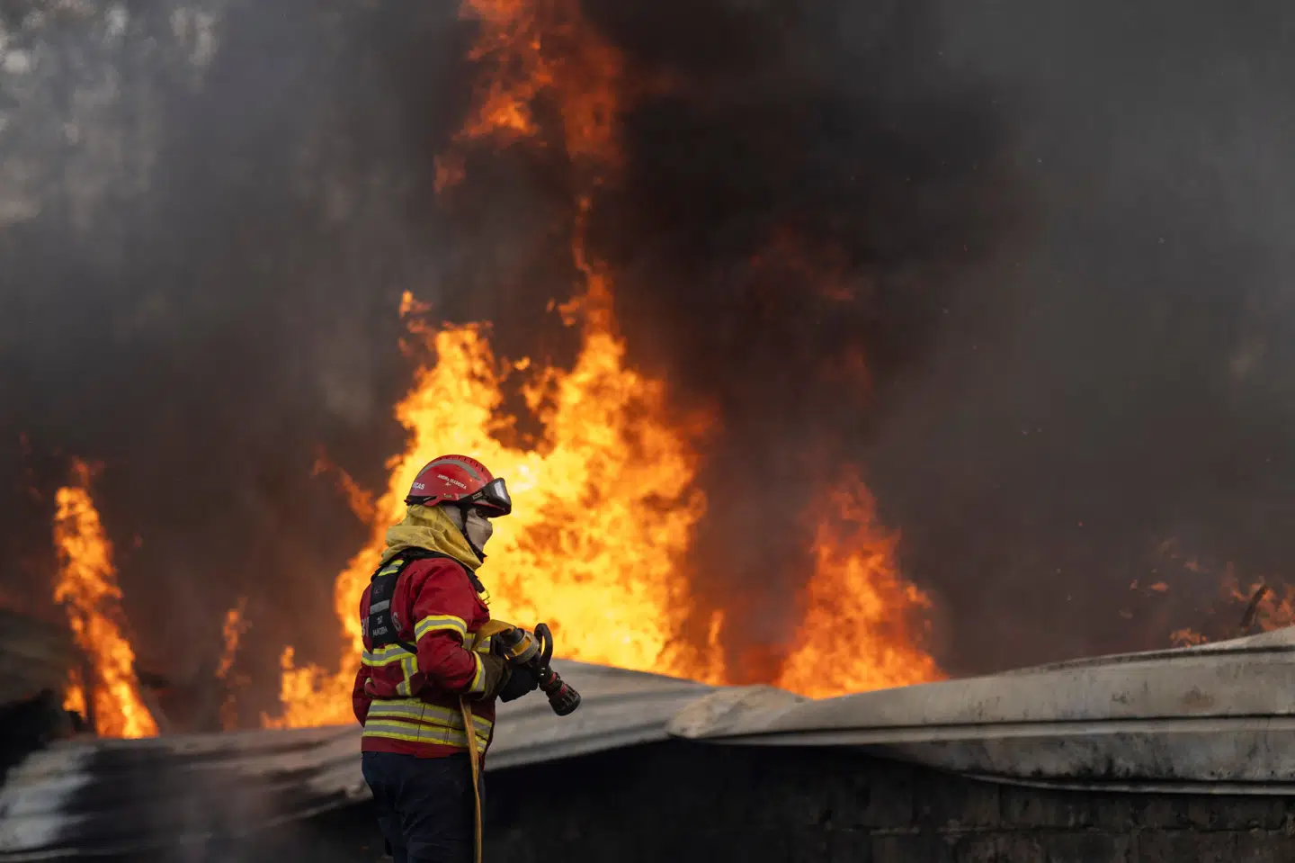 En brandmand forsøger at slukke ild i et varelager under en skovbrand i landsbyen Arrancada i Aveiro-distriktet i Portugal. Tusindvis af brandmænd deltager i slukningen af skovbrande, som plager landet. Tre brandmænd - ikke vedkommende på billedet - har mistet livet.